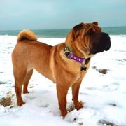 Tarragona Mi Pura Belleza