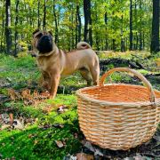 Tarragona Mi Pura Belleza 2