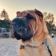 Tarragona Mi Pura Belleza 3