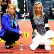 Tauro SIRENA (BETTY) 2