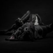 TERAZ ALBO NIGDY Margarejro FCI