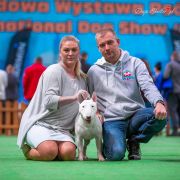 TERRANO EWIMARK RAKOWNIA