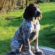 Teza Z Czarnego Dworu