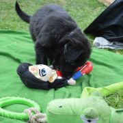 TIA HOOLIGANOWE SMOKI