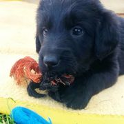 TIA HOOLIGANOWE SMOKI