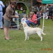 TOWER OF DREAM HERBU ZADORA 2