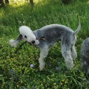 TREVINA Slim Extreme - TULLIA