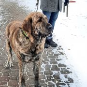 Ulala Ale Lala Lu Dareva