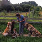 Ulala Ale Lala Lu Dareva