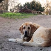 ULTRA UMBRA Lu Dareva