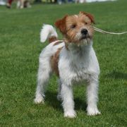 UNBELIEVABLE FAST DE TIMBALAND CH.PL