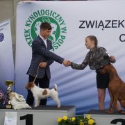 UNBELIEVABLE FAST DE TIMBALAND CH.PL