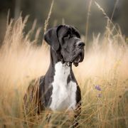 UNBELIEVABLE with Red Ribbon