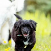 Unicorn Sparkle Tempus Ad Miraculum 