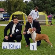 UNIKAT Pokerowy Żywot FCI 3