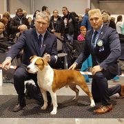 UNIKAT Pokerowy Żywot FCI 4