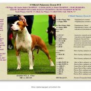 UNIKAT Pokerowy Żywot FCI