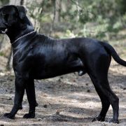 Uno Zgraja z Wojtówki ( Toudi)