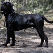 Uno Zgraja z Wojtówki ( Toudi) 2