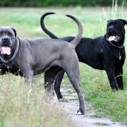 Uno Zgraja z Wojtówki ( Toudi) 3