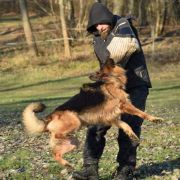  V6(PL)-Amira von Rikor Team 