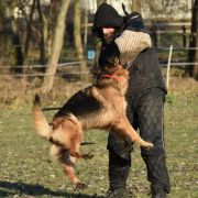  V6(PL)-Amira von Rikor Team 