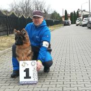 Vac-Vagvolgyi Tallyn