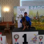 Vac-Vagvolgyi Tallyn