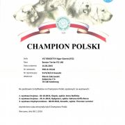 VG Vendetta Vigor Gemini 2