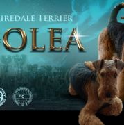 VIGO z Soleckiej Stanicy(FCI)