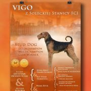 VIGO z Soleckiej Stanicy(FCI) 2