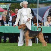 VIGO z Soleckiej Stanicy(FCI) 3