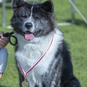 WAKKANAI Sakura No Sono 2