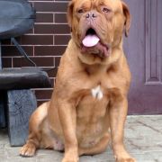 WARNA ex Cubile Lamia