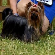 WIECZORYNKA NOBELLAND 2