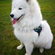 Winter Sky BAIKAL PEARL 4