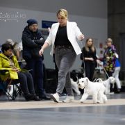 Wise Lord Lija FCI KAI 