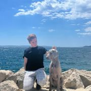 WIWA Weimaraners House