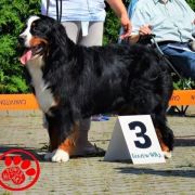 Xenia U Źródeł Wisły 