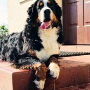 Xenia U Źródeł Wisły 2