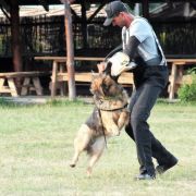 Xywa z Zielonego Ursynowa