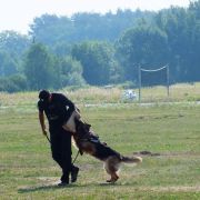 Xywa z Zielonego Ursynowa