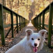 YASMIN Border Squad (FCI)