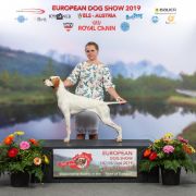 You Are My Biggest Dream