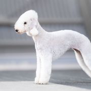 YOU LOOK AT ME Mushanga