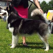 YOU MOVE ON THIN ICE z Śnieżnej Doliny 2