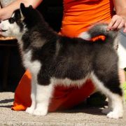 YOU MOVE ON THIN ICE z Śnieżnej Doliny 4