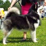 YOU MOVE ON THIN ICE z Śnieżnej Doliny 3