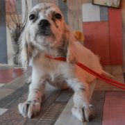 ЮВЕТТА ХАНТИ