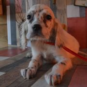 ЮВЕТТА ХАНТИ